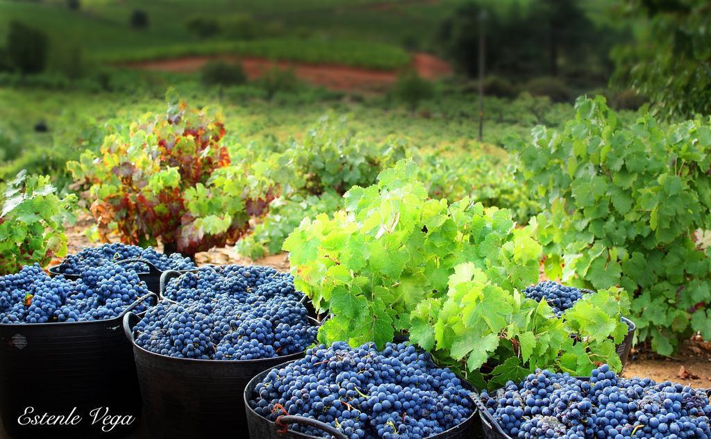 Alojamiento En Entorno Rural Los Trobos Villar de Otero Ngoại thất bức ảnh