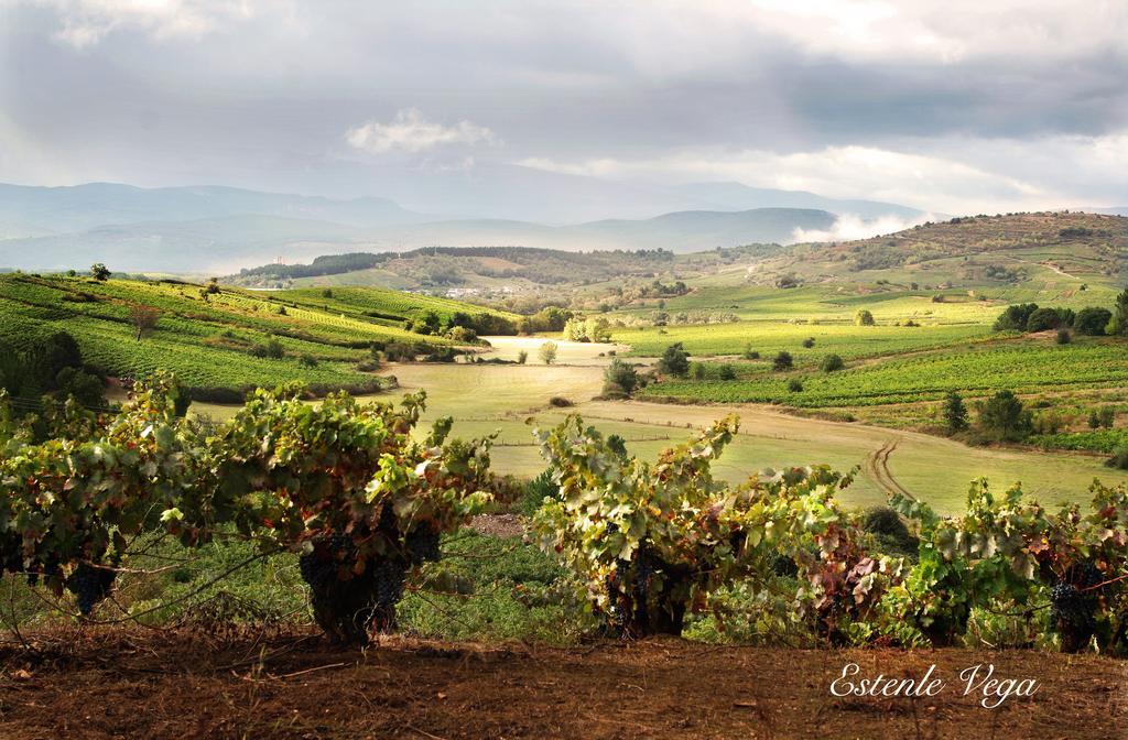 Alojamiento En Entorno Rural Los Trobos Villar de Otero Ngoại thất bức ảnh